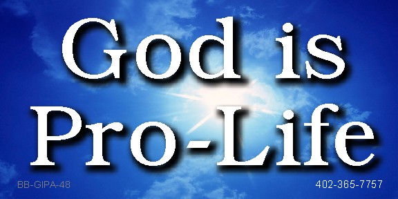 God Is Pro Life 4 x 8 Vinyl Banner